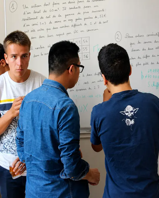 Cours particuliers de TIPE en prépa scientifique